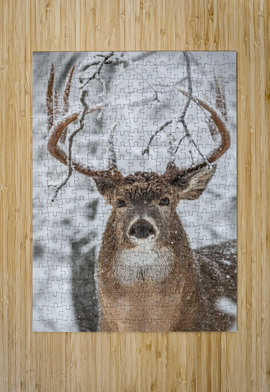 Big Buck Winter Ilana Vargulich Puzzle printing