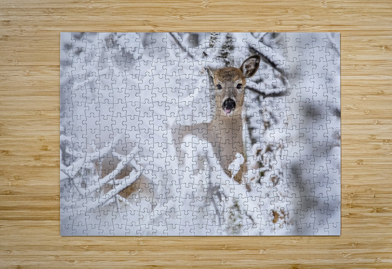 Deer Winter Wonder Ilana Vargulich Puzzle printing