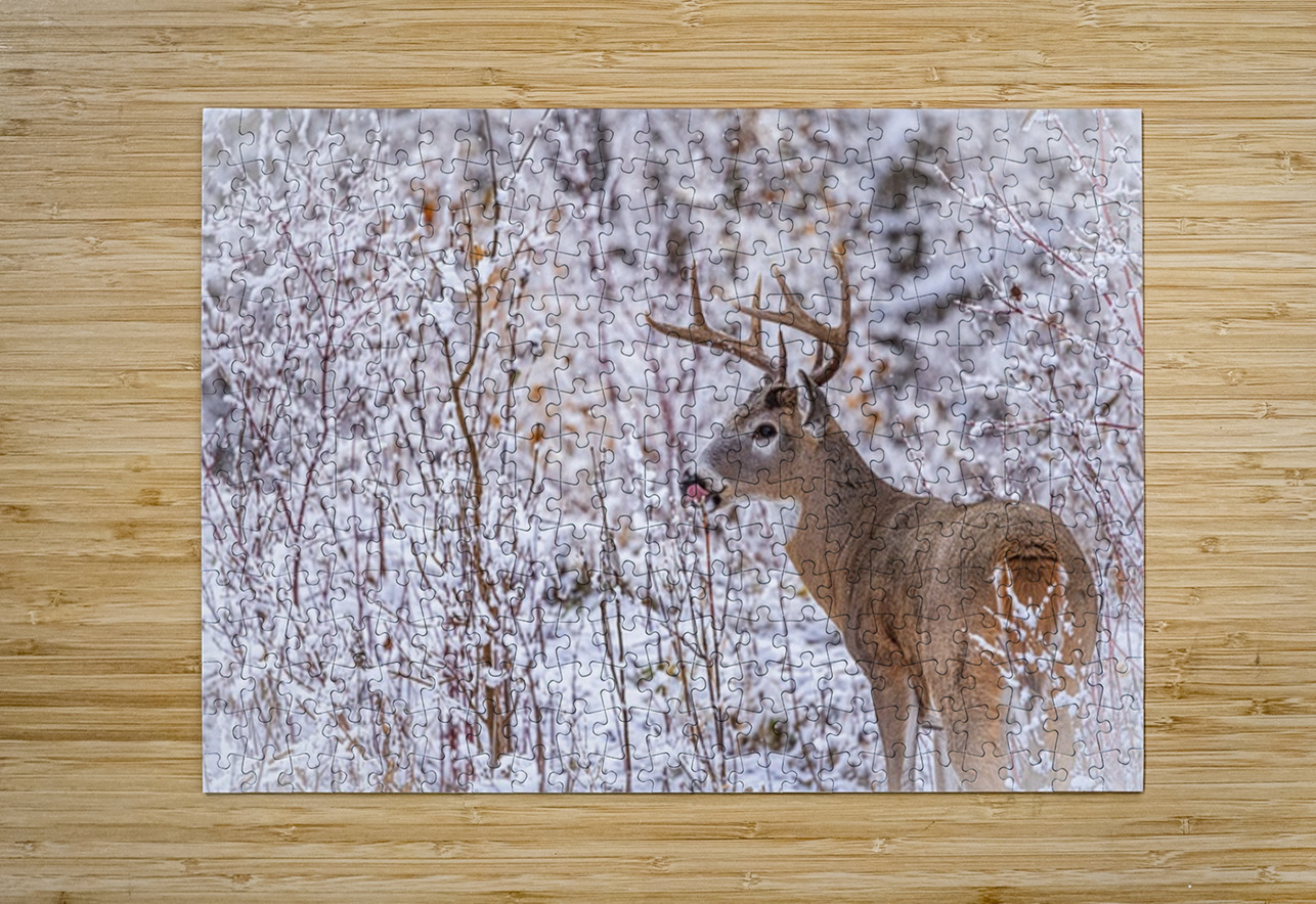 Buck Winter Day Ilana Vargulich Puzzle printing