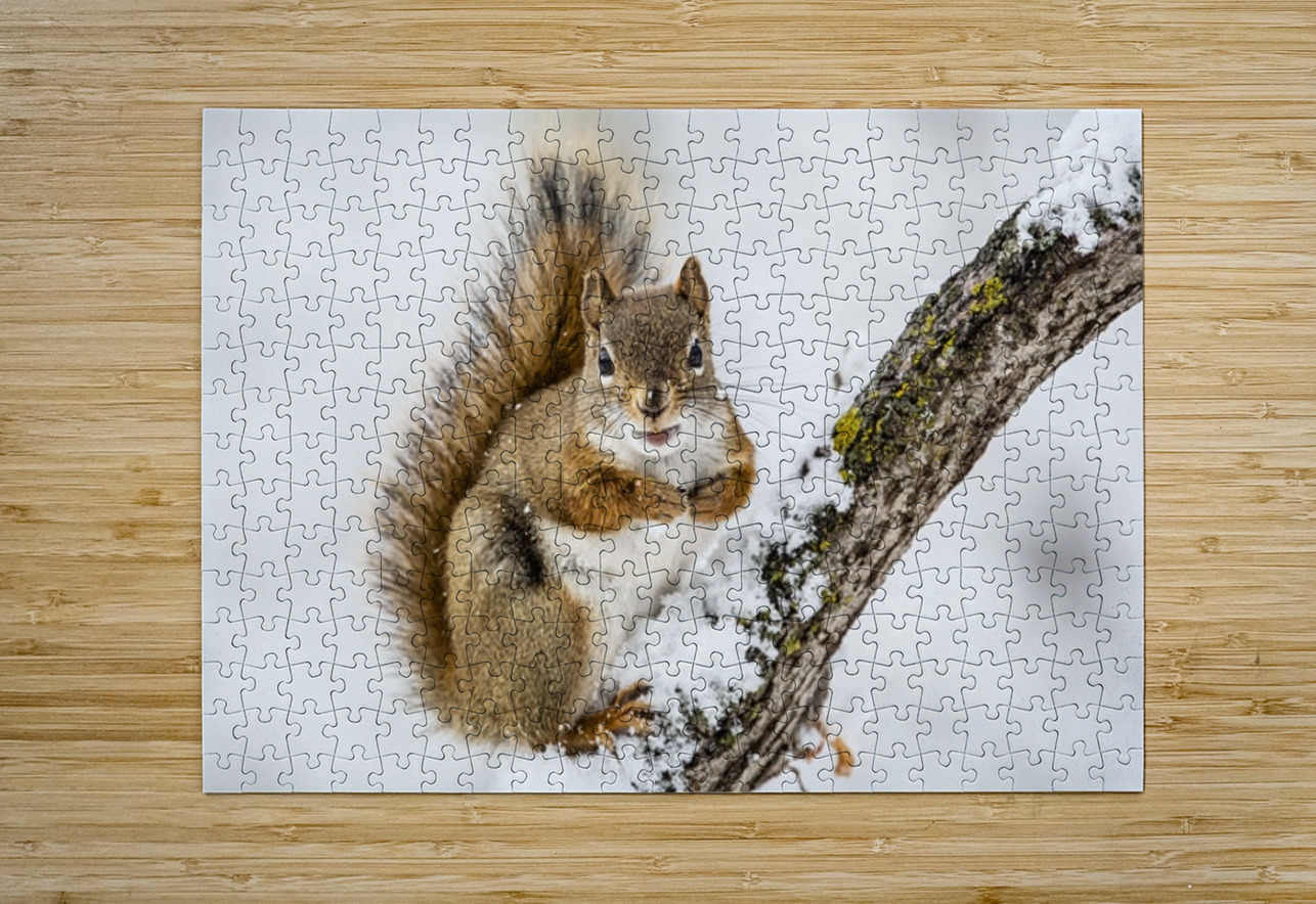 Red Squarel 2 Ilana Vargulich Puzzle printing