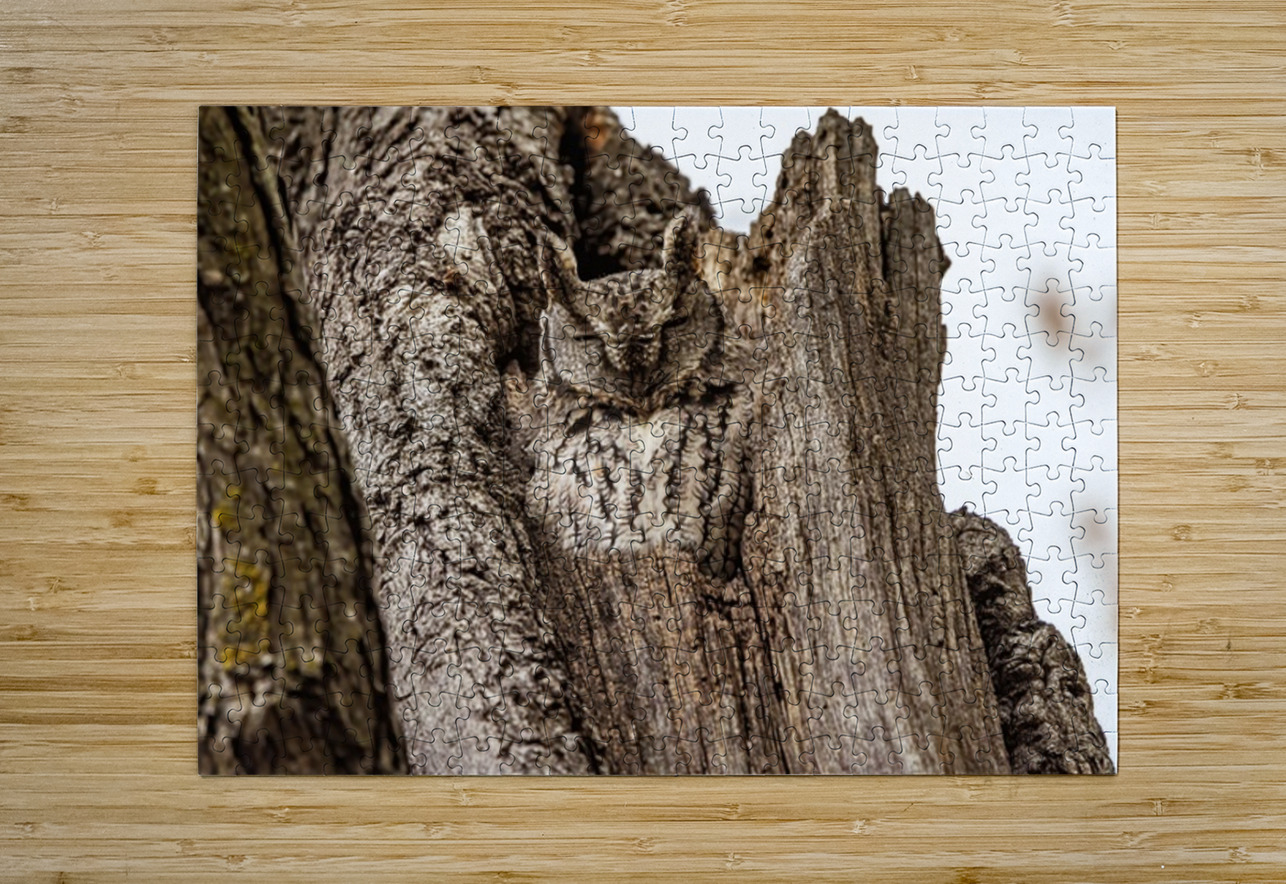 Screech Owl 4 Ilana Vargulich Puzzle printing