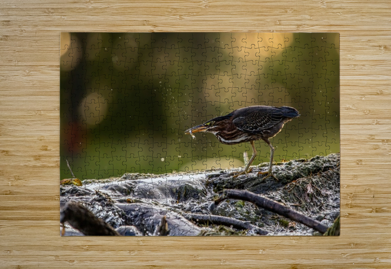 Green Heron Sunset Ilana Vargulich Puzzle printing