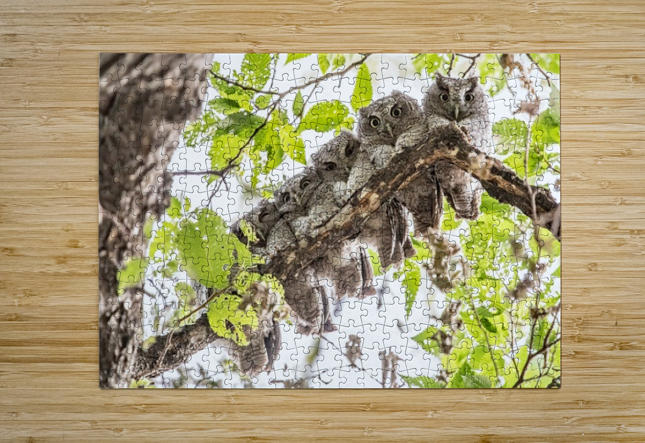 Screech 12 Eyes Ilana Vargulich Puzzle printing