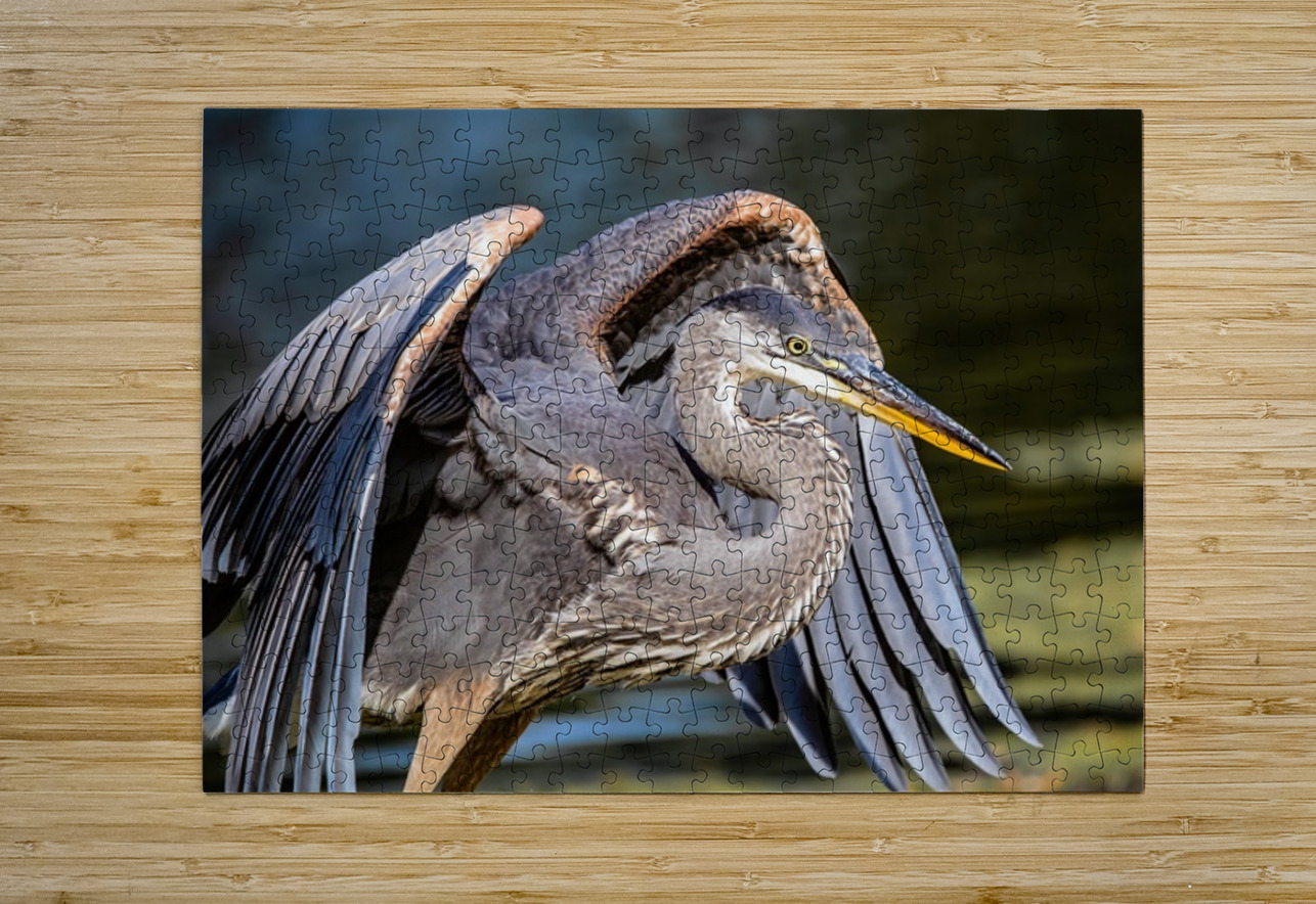 Blue Heron 2 Ilana Vargulich Puzzle printing