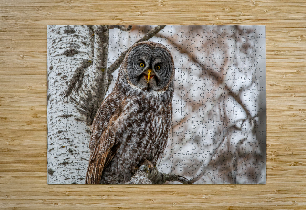 GGO 28 Ilana Vargulich Puzzle printing