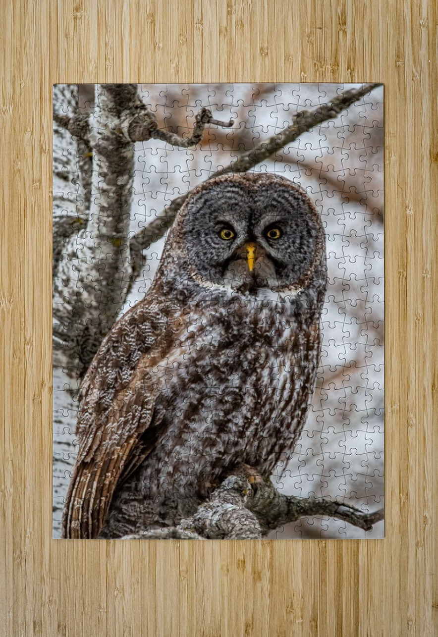 GGO 29 Ilana Vargulich Puzzle printing