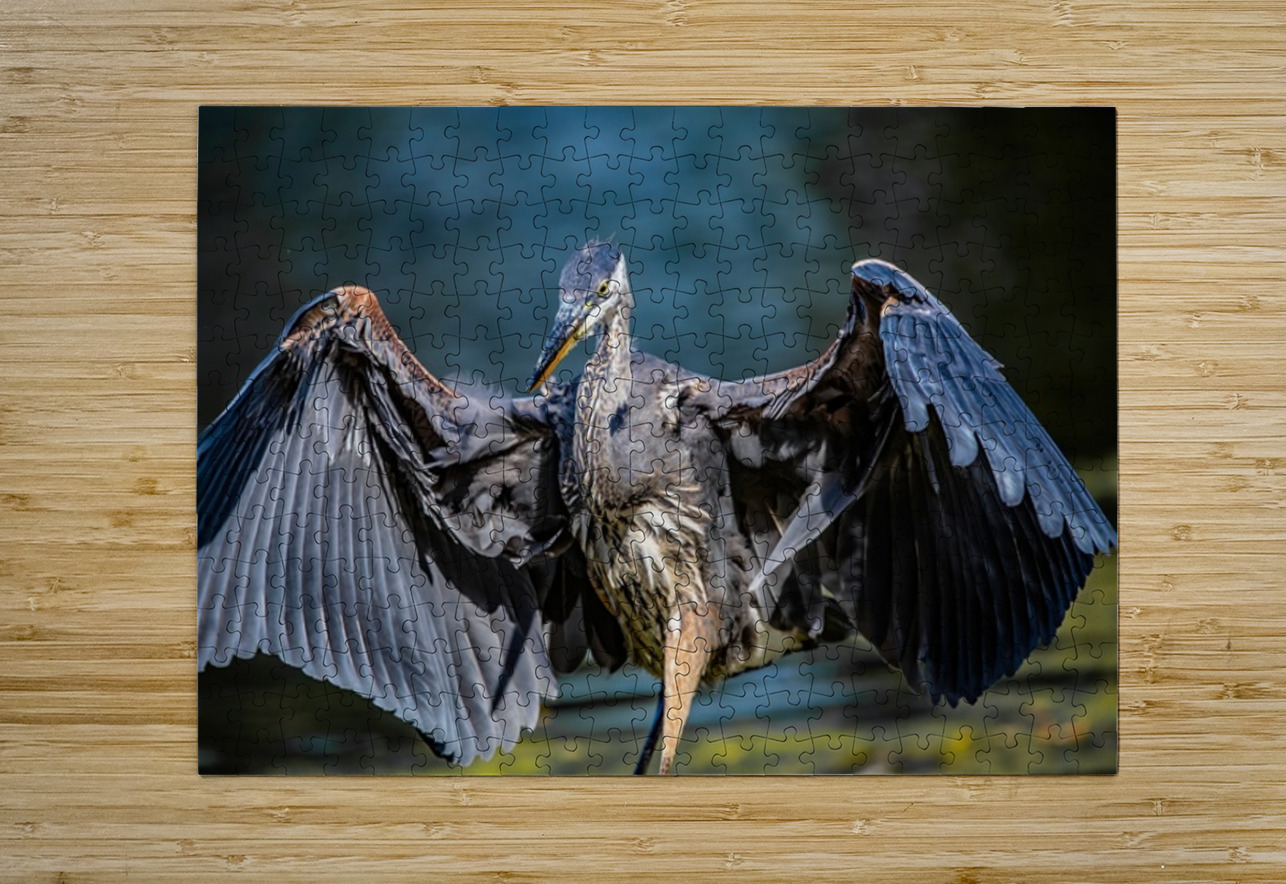 Blue Heron 2 Ilana Vargulich Puzzle printing