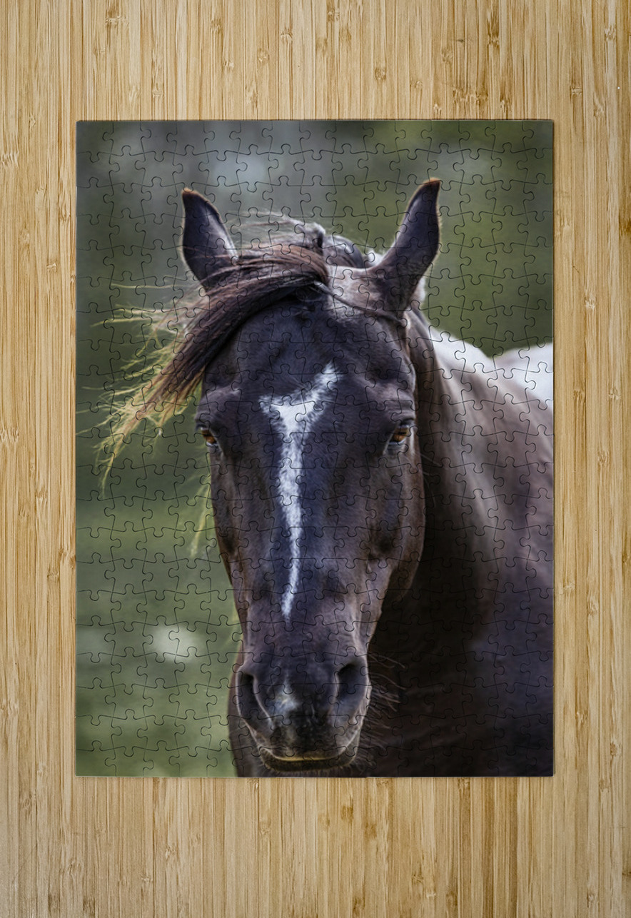 Horse Portrait Ilana Vargulich Puzzle printing