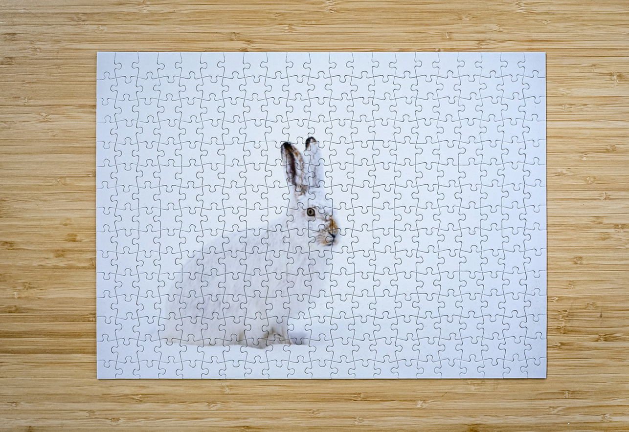 Jack Ilana Vargulich Puzzle printing