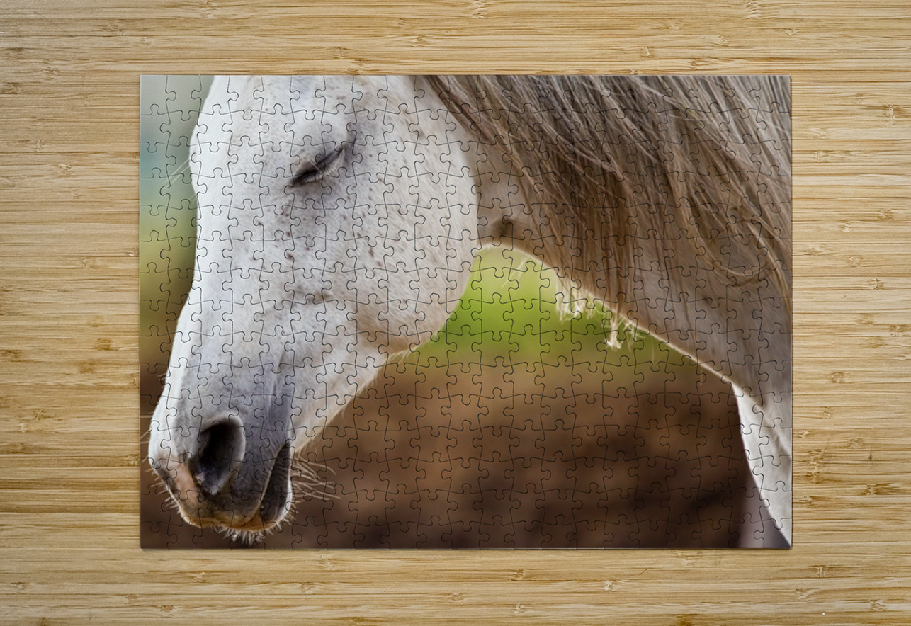 Horse Portrait 2 Ilana Vargulich Puzzle printing