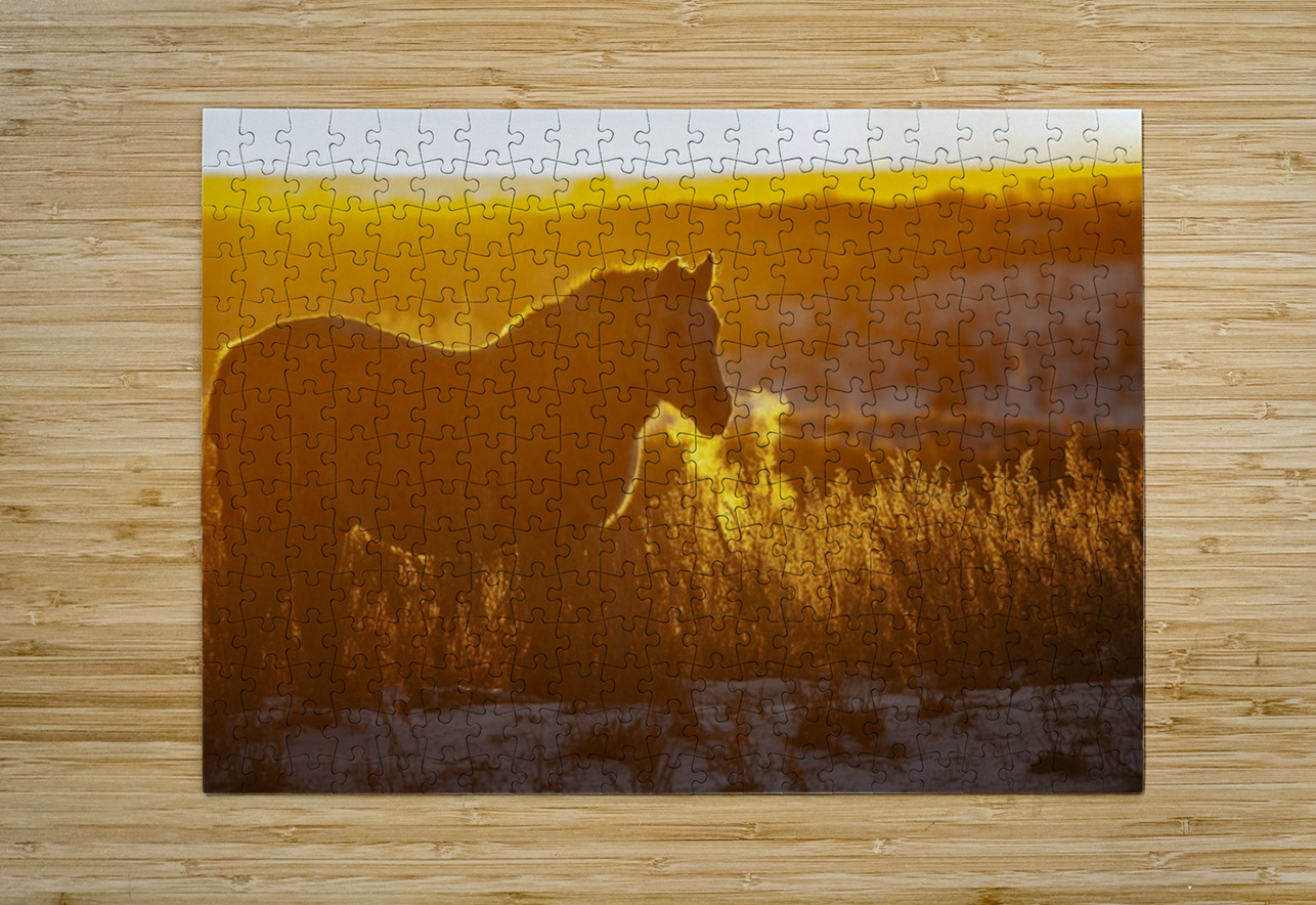 Horse Sunset Ilana Vargulich Puzzle printing
