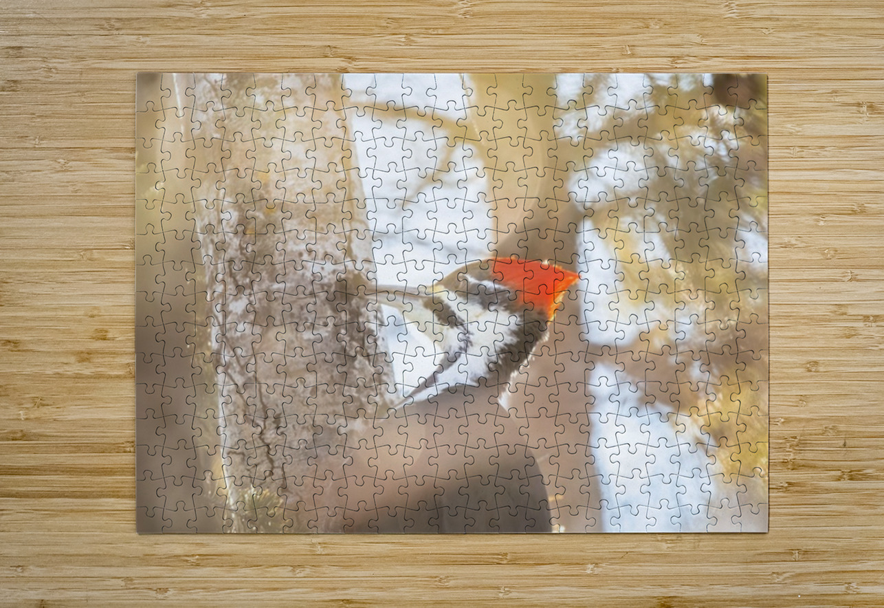 Pileated Woodpecker Ilana Vargulich Puzzle printing