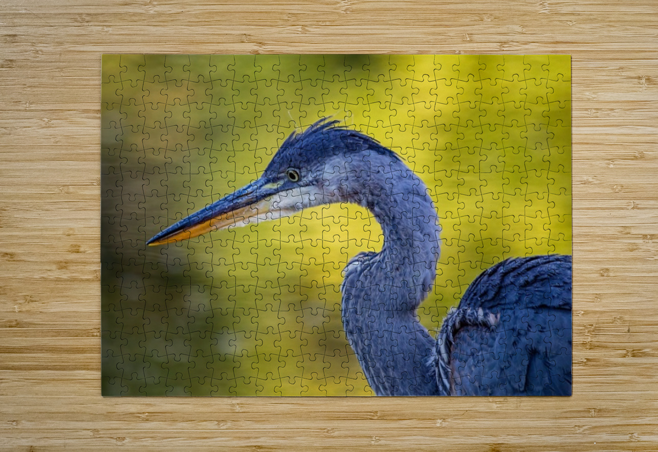 Blue Heron 4 Ilana Vargulich Puzzle printing