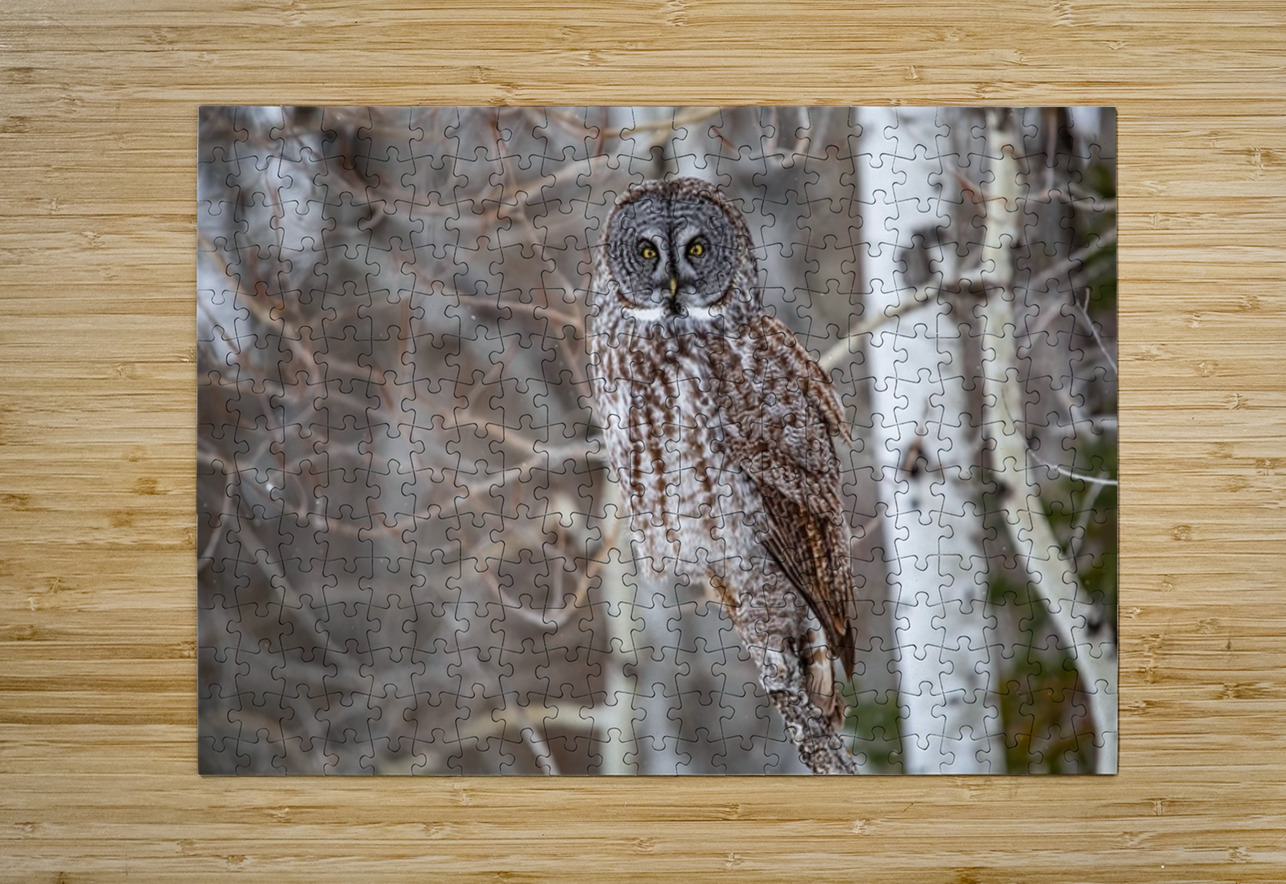 GGO 30 Ilana Vargulich Puzzle printing