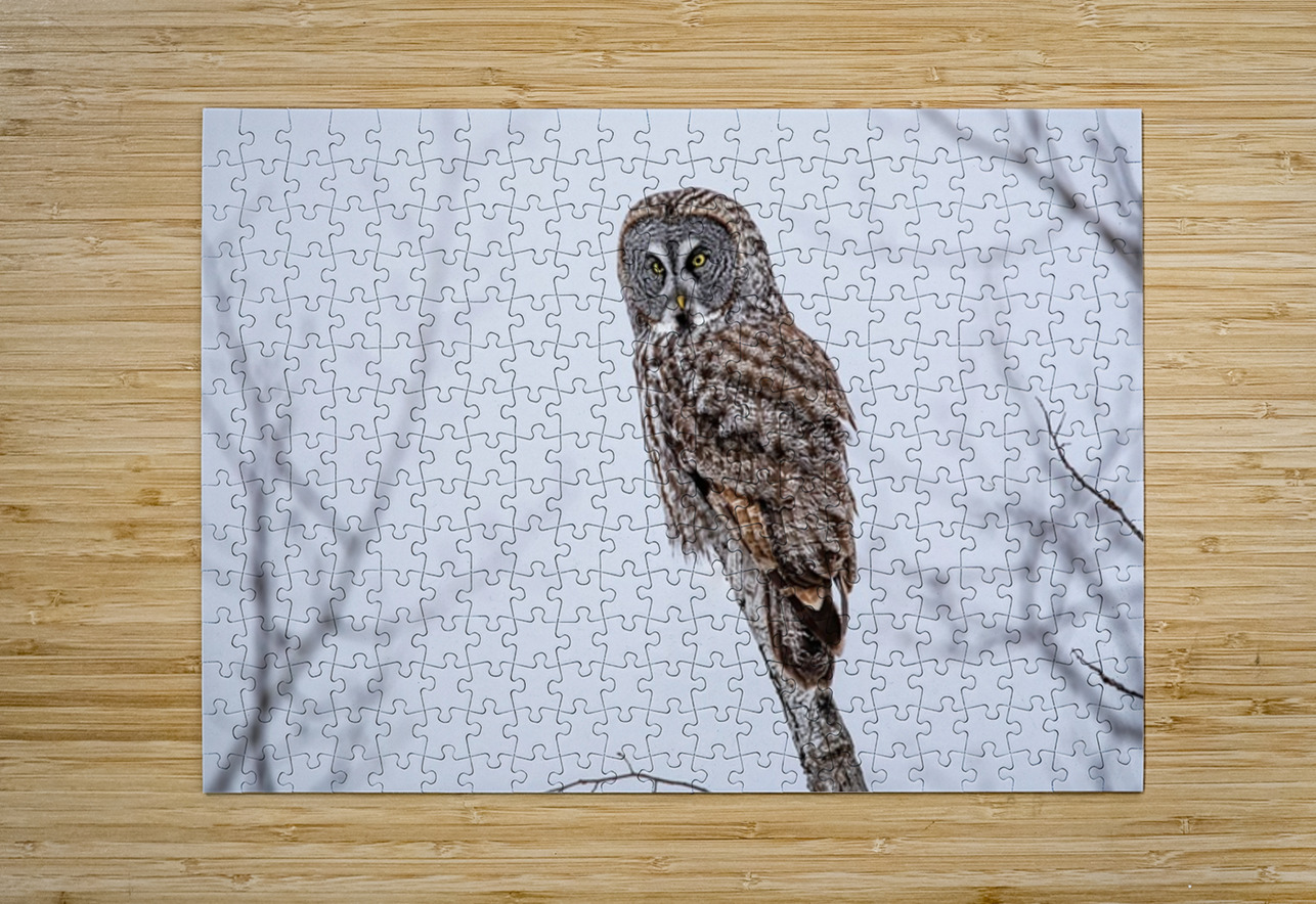 GGO 32 Ilana Vargulich Puzzle printing