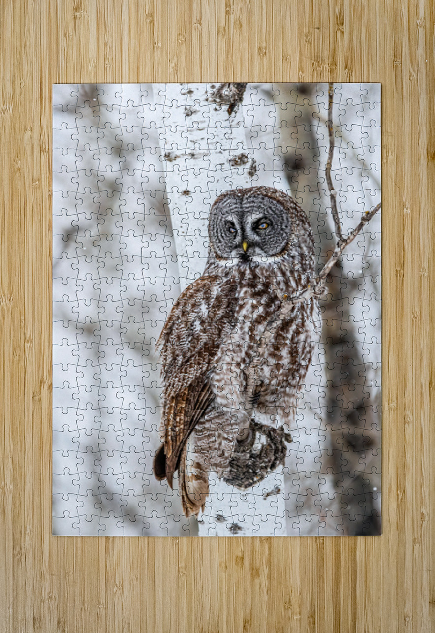 GGO 33 Ilana Vargulich Puzzle printing