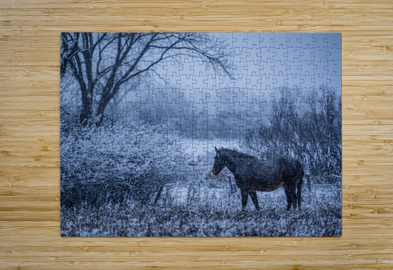 Horse Farm Ilana Vargulich Puzzle printing