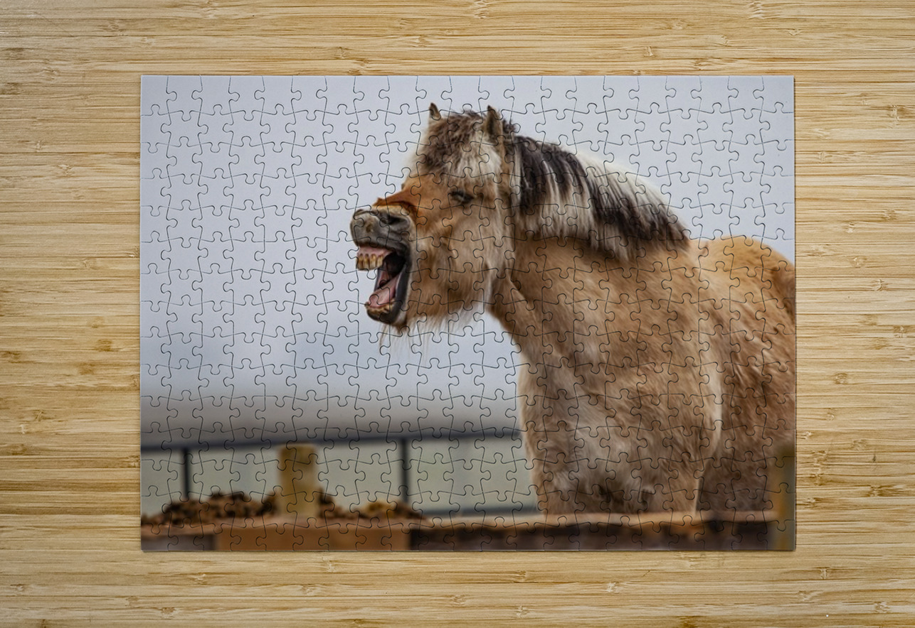 Horse Smile Ilana Vargulich Puzzle printing