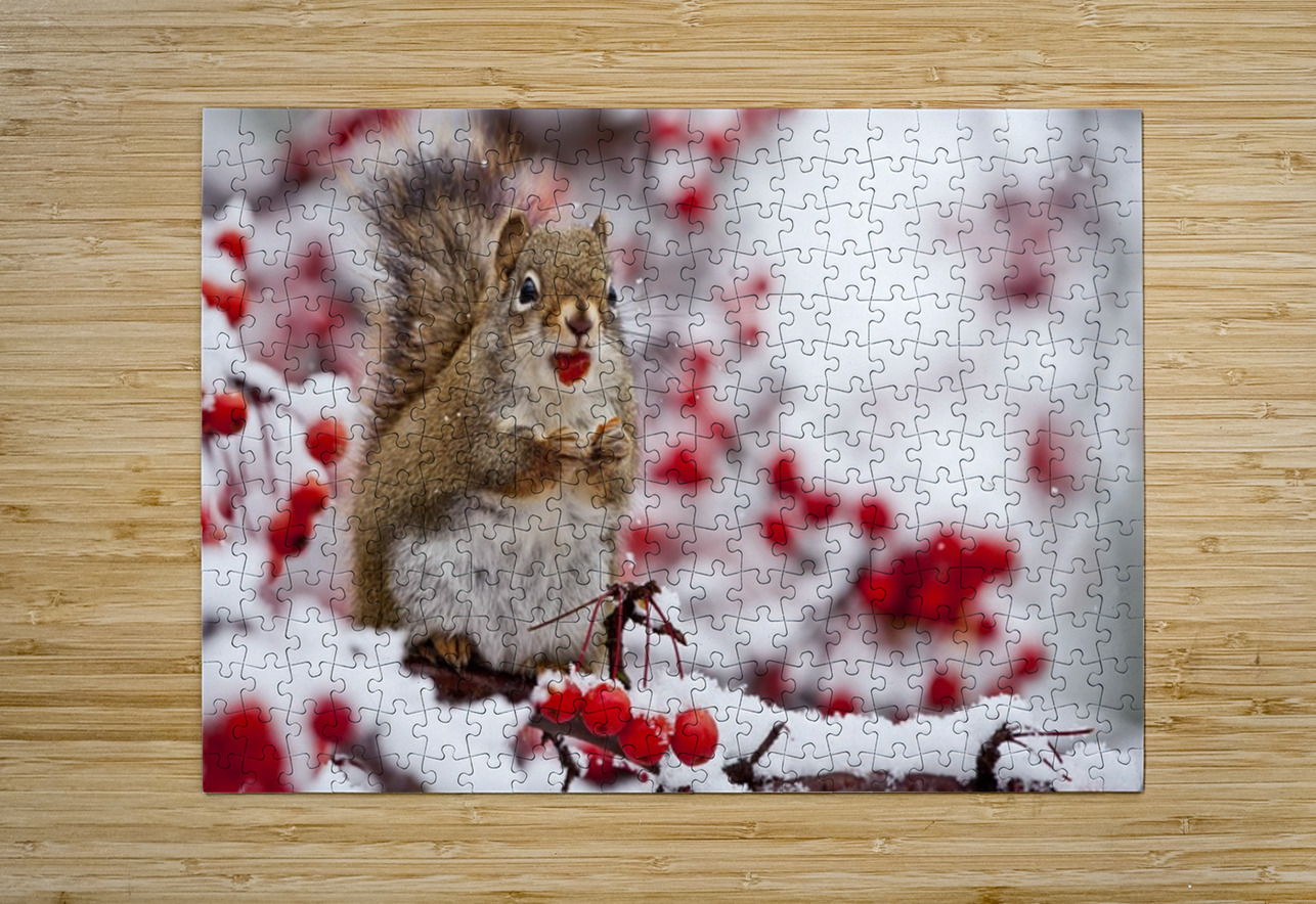 Red Squarel 3 Ilana Vargulich Puzzle printing
