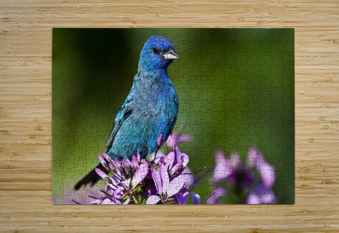 Indigo 2 Ilana Vargulich Puzzle printing