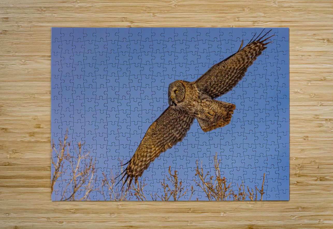 GGO 34 Ilana Vargulich Puzzle printing