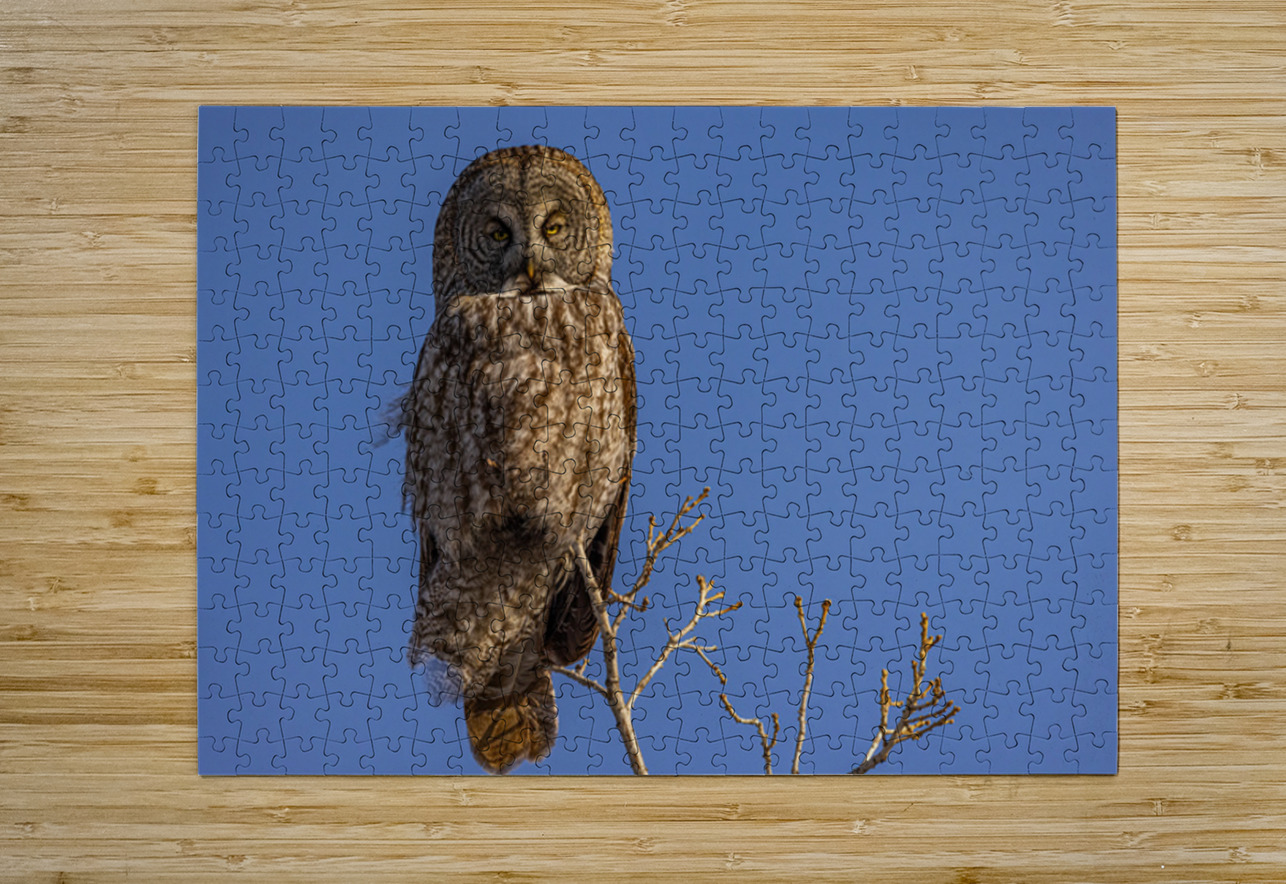 GGO 35 Ilana Vargulich Puzzle printing