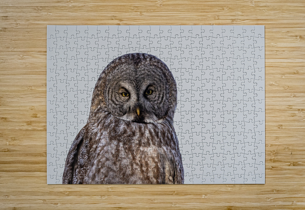 GGO 36 Ilana Vargulich Puzzle printing