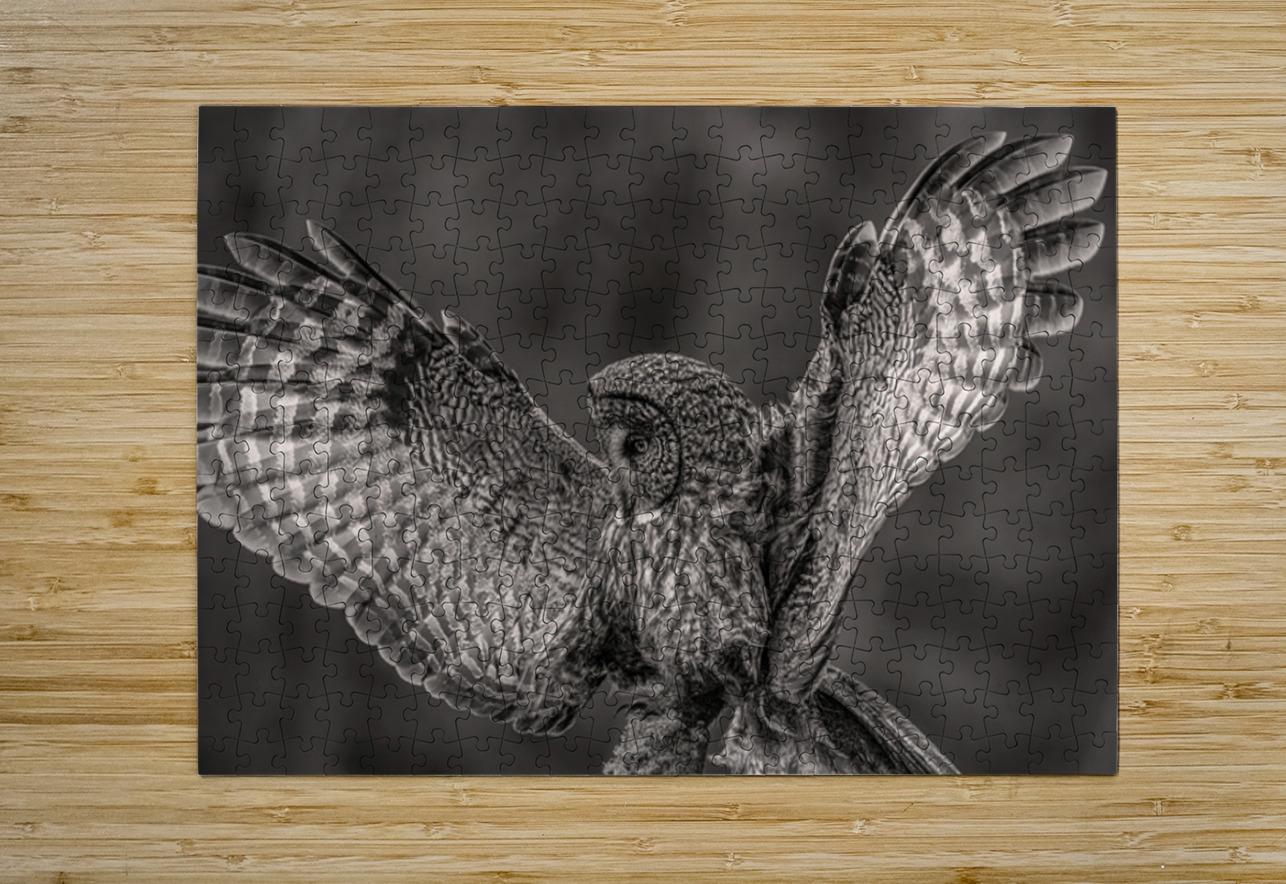 GGO 37 Ilana Vargulich Puzzle printing