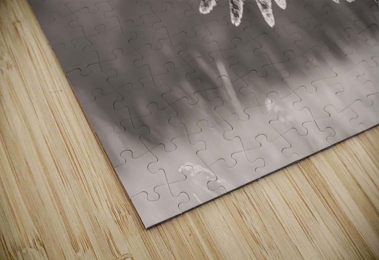 GGO Ilana Vargulich Puzzle