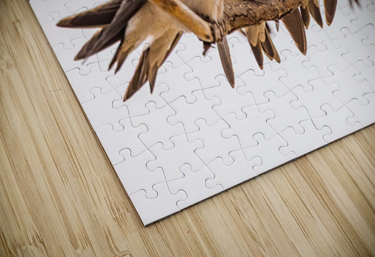 Gathering Ilana Vargulich Puzzle