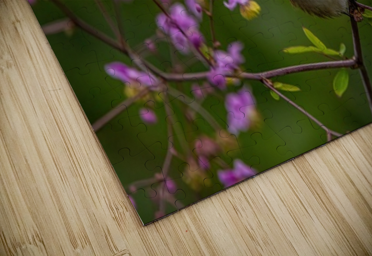 Hummingbird in Flower Frame Ilana Vargulich Puzzle