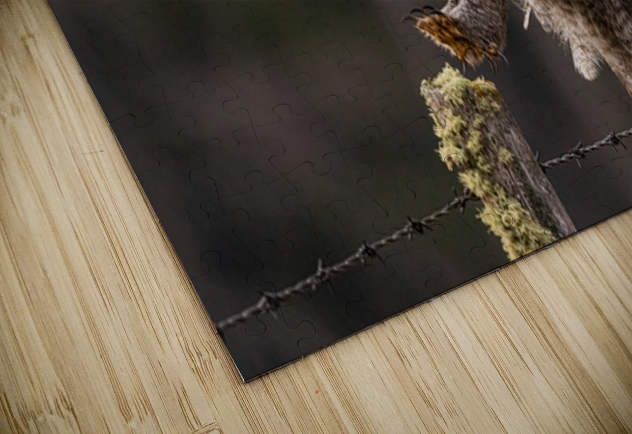 GGO 2 Ilana Vargulich Puzzle