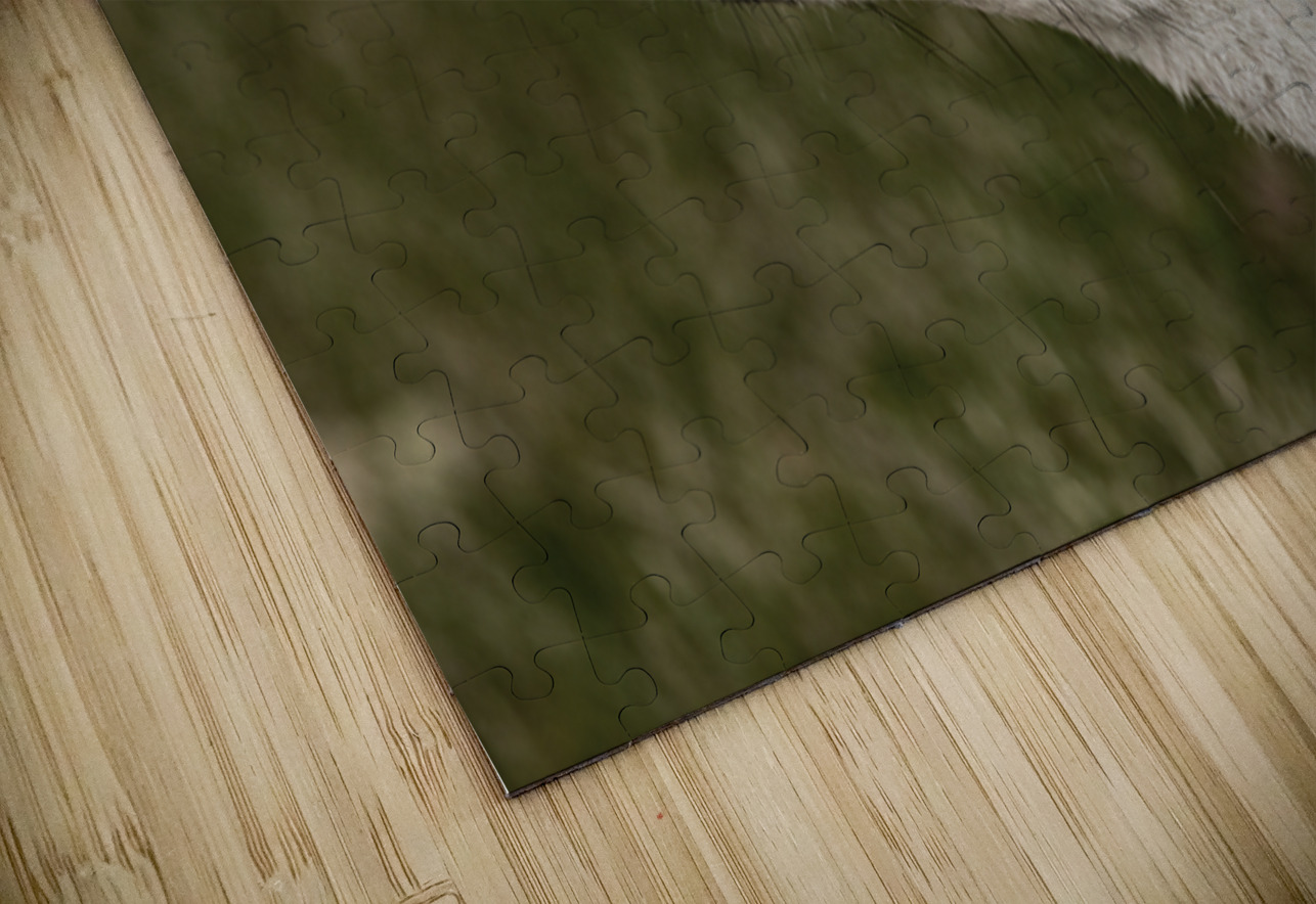 Red Fox with Butterfly Ilana Vargulich Puzzle