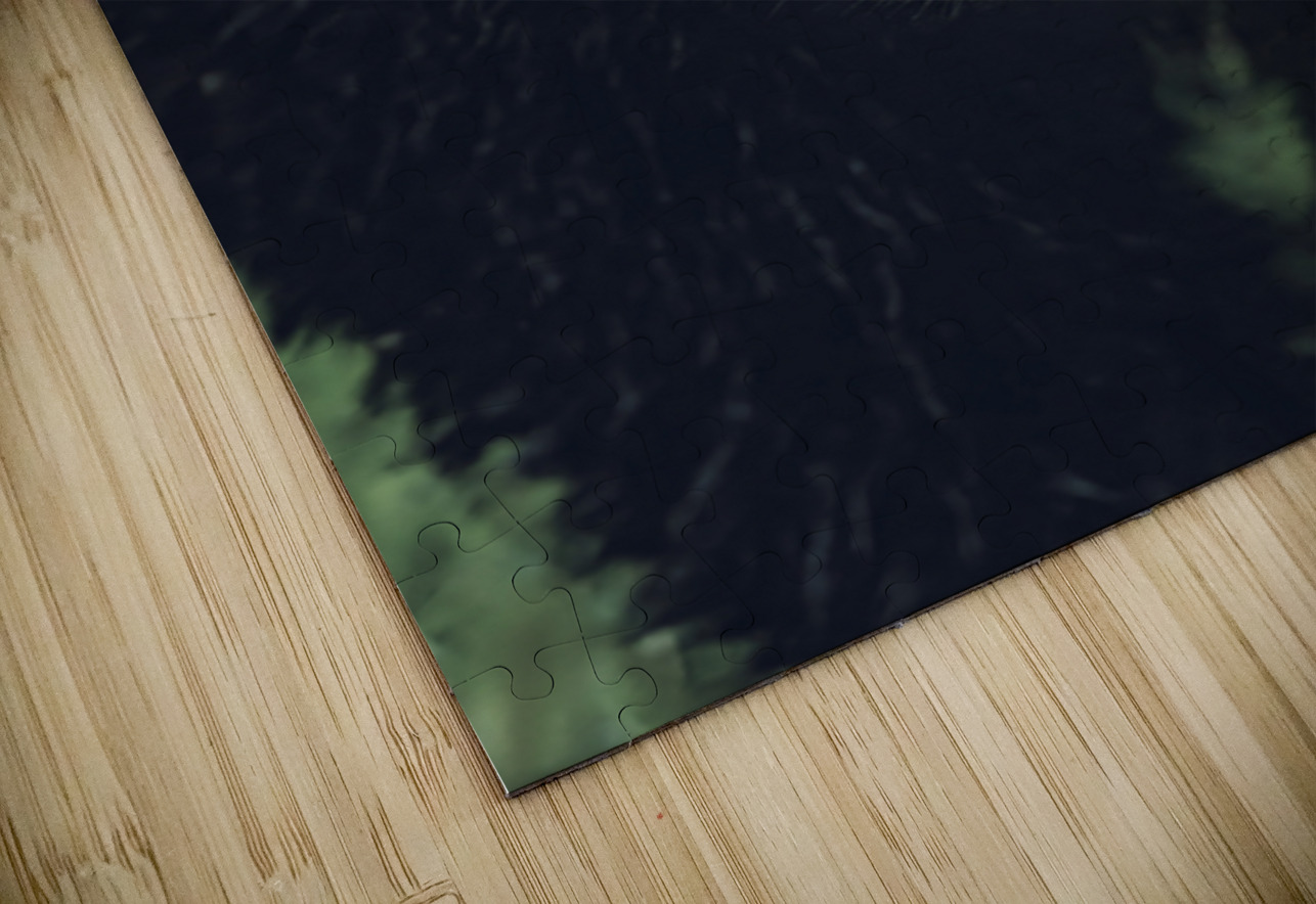 Wild Bear Futuristic Ilana Vargulich Puzzle