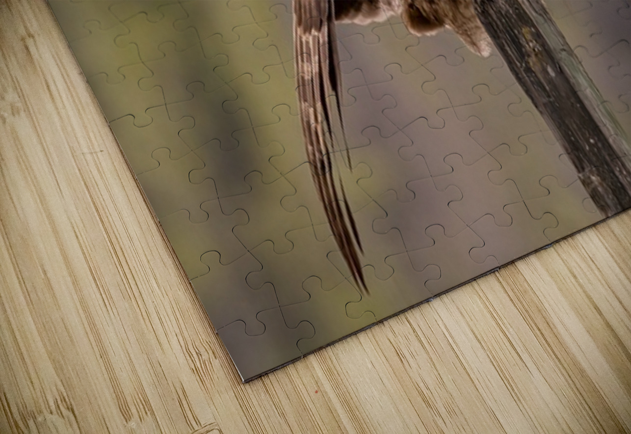 GGO 3 Ilana Vargulich Puzzle