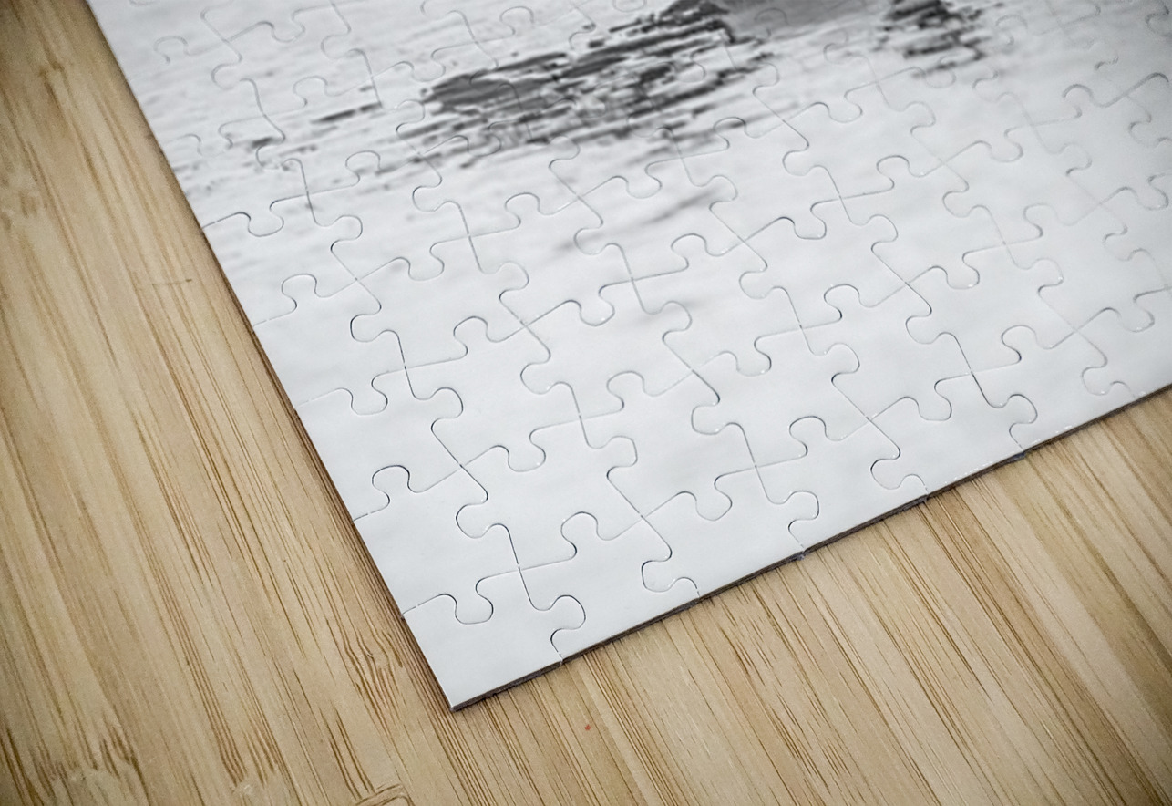 Loon BW Ilana Vargulich Puzzle