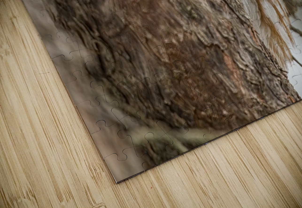 Boreal Owl Peekaboo Ilana Vargulich Puzzle