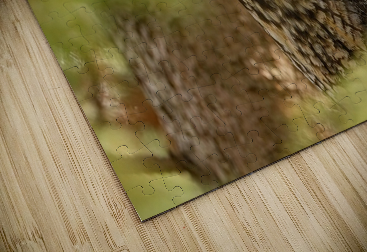 LEO Portrait Ilana Vargulich Puzzle