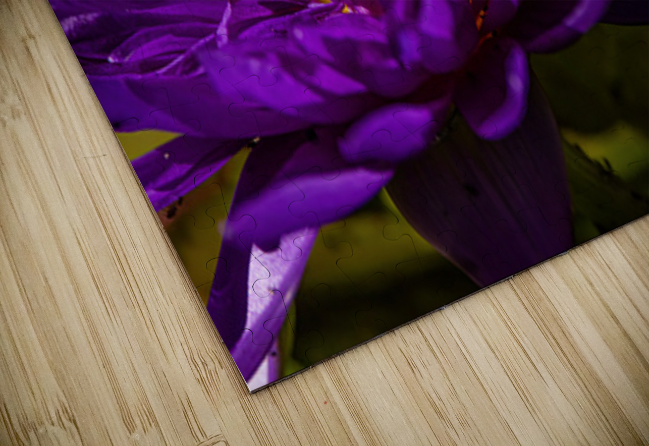 Flower Story 2 Ilana Vargulich Puzzle