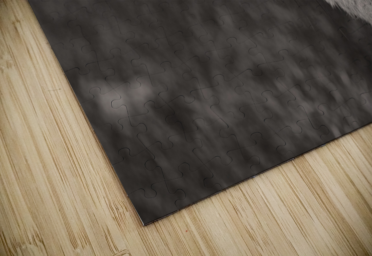 Red Fox with Butterfly BW Ilana Vargulich Puzzle