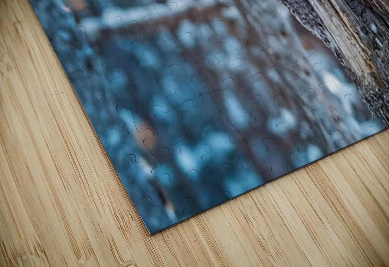 GGO 4 Ilana Vargulich Puzzle