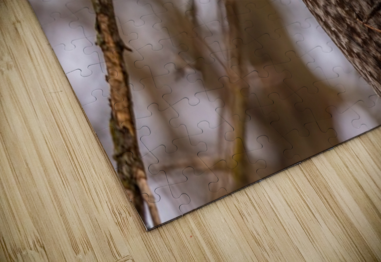 GGO 5 Peekaboo Ilana Vargulich Puzzle