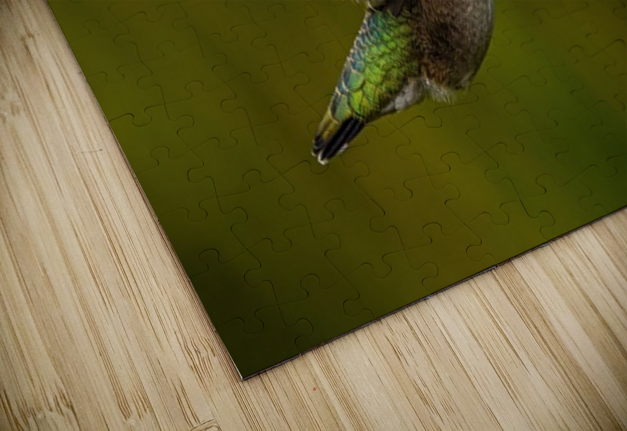 Hummingbird Ilana Vargulich Puzzle