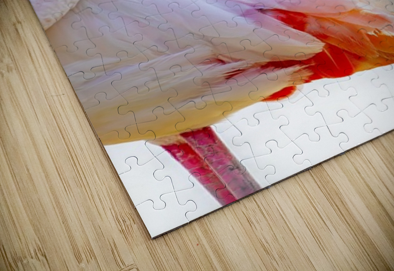 Wild Pink Flamingo Ilana Vargulich Puzzle