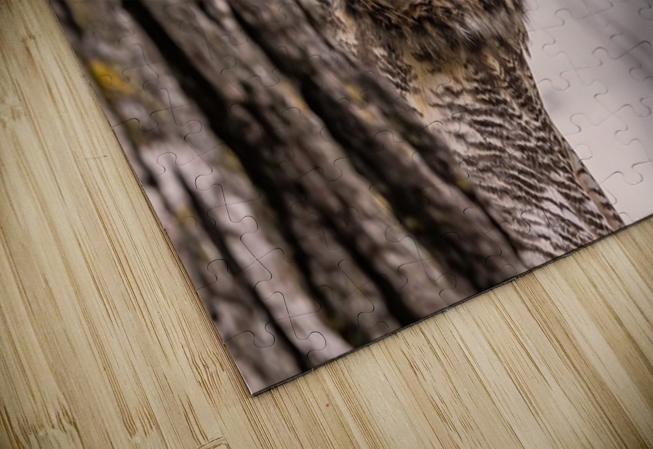 GHO Peekaboo Ilana Vargulich Puzzle