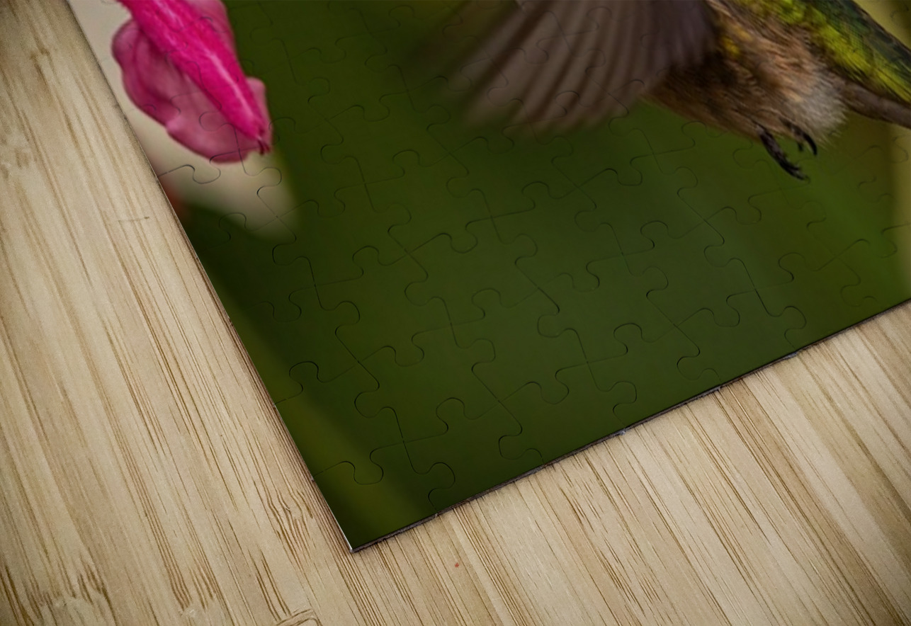 Hummingbird 2 Ilana Vargulich Puzzle