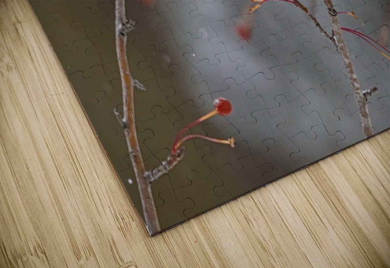 Waxwing Ilana Vargulich Puzzle