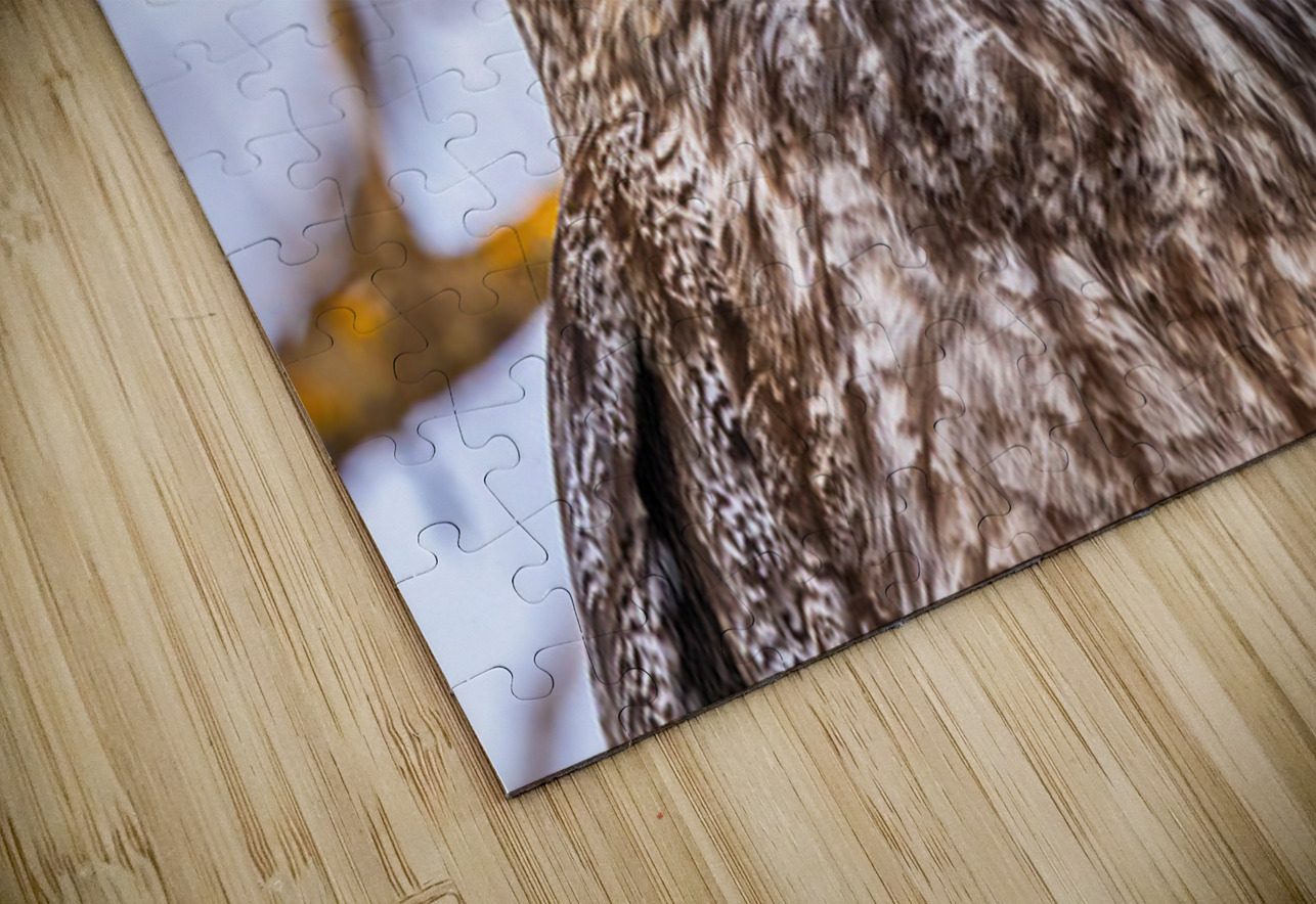 GGO 6 Ilana Vargulich Puzzle