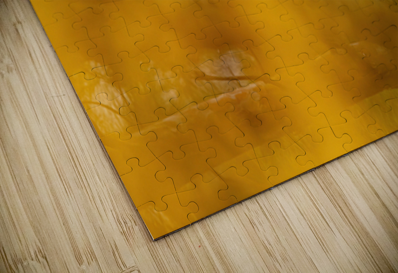 LEO Fall Time Ilana Vargulich Puzzle