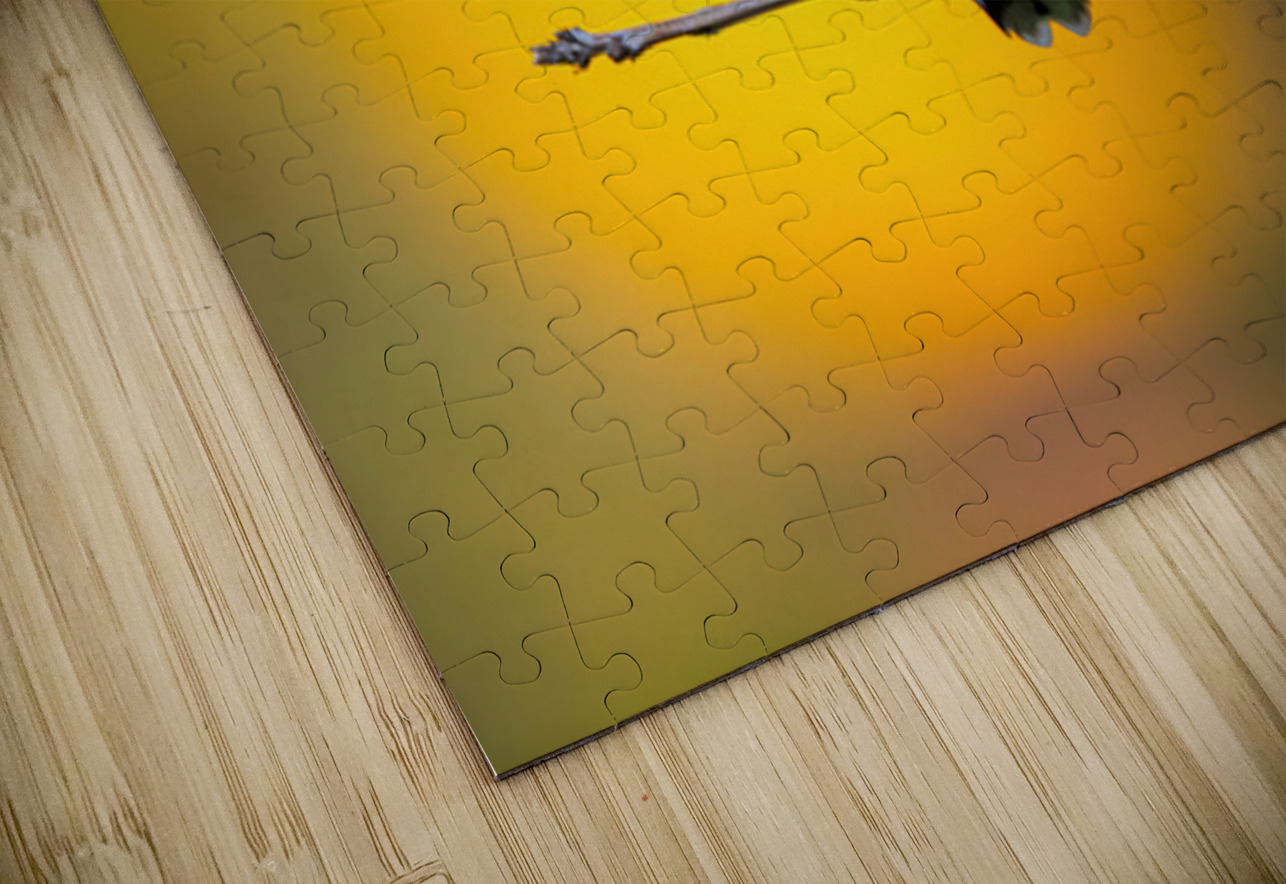 Hummingbird 4 Ilana Vargulich Puzzle